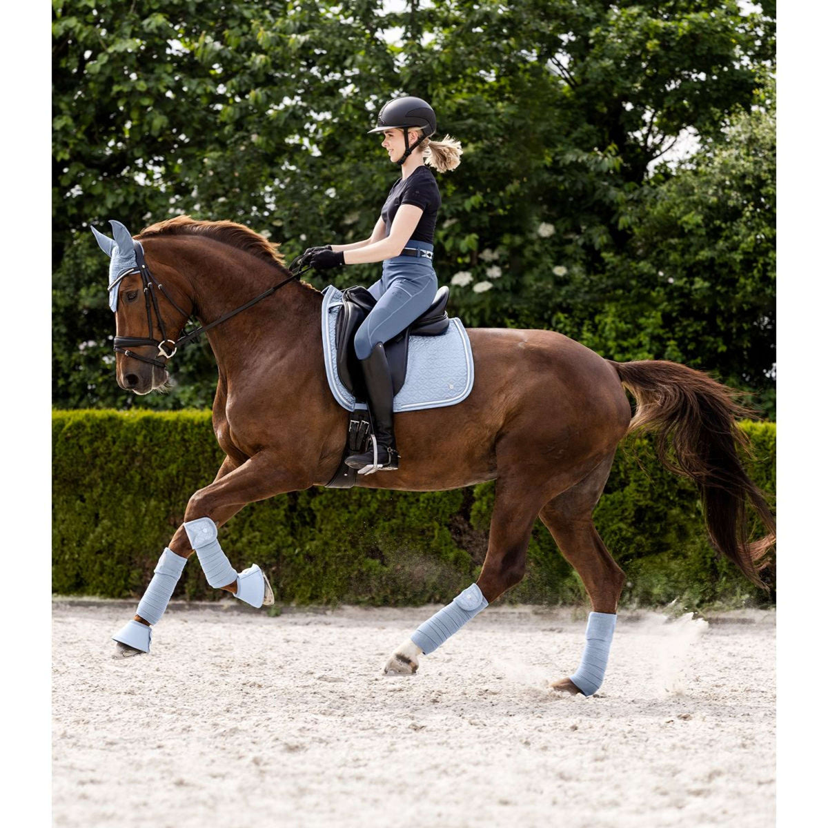 Waldhausen Tapis de Selle Rom Dressage Pastel Blue