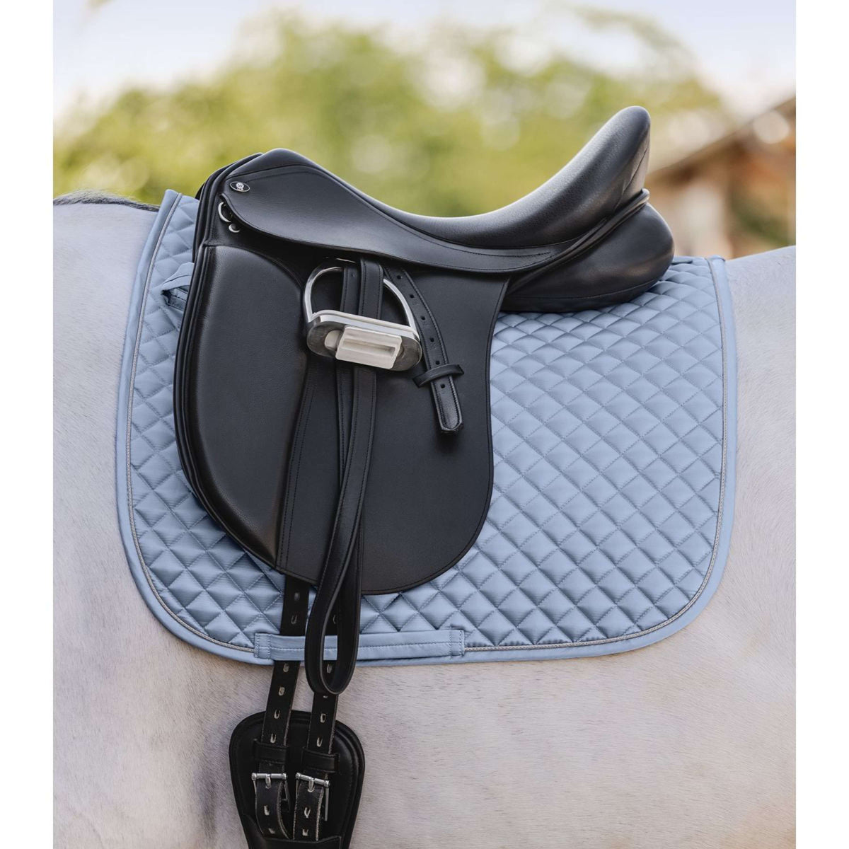 Waldhausen Tapis de Selle Felix Glam Dressage Pastel Blue