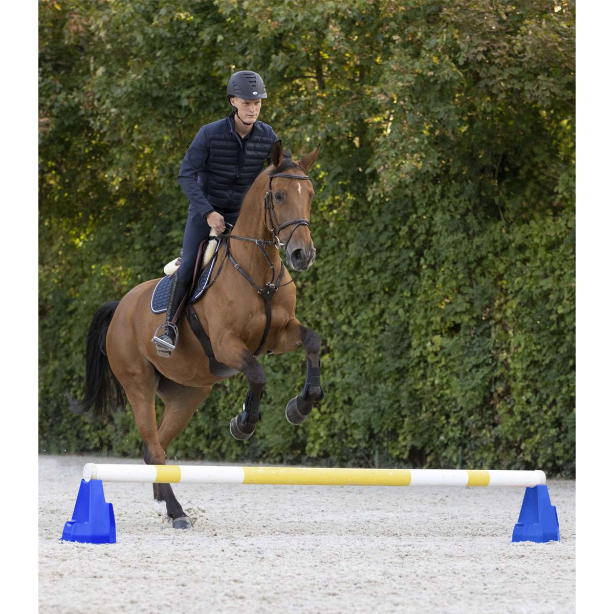 Waldhausen Blocs cavaletti Bleu