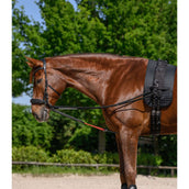 Waldhausen Rênes W-Train