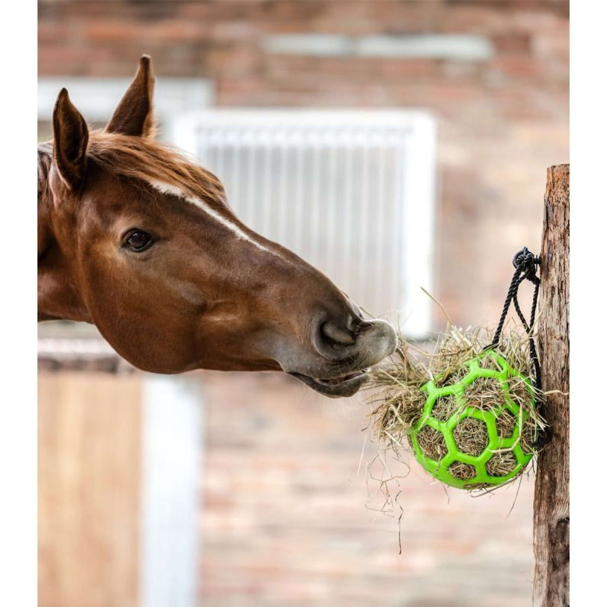 Waldhausen Hooibal Balle de Foin Vert