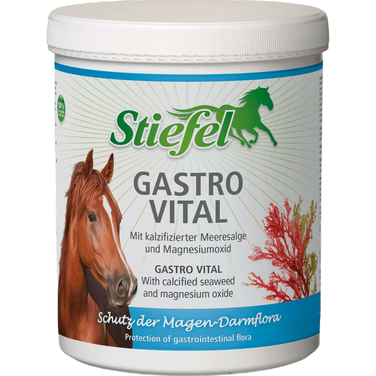 Stiefel Gastro Vital Gastro Vital