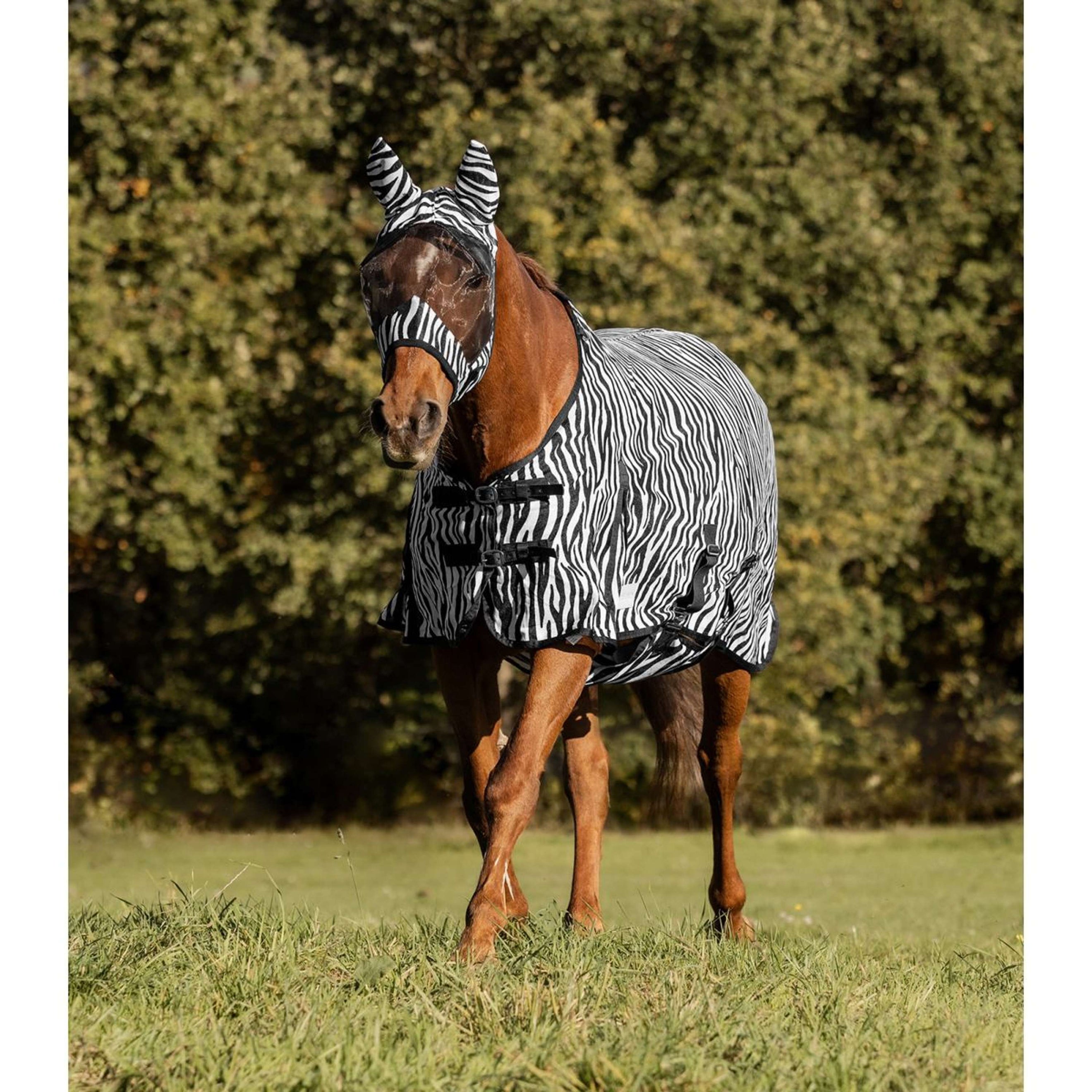 Waldhausen Couverture Anti-Mouches Zebra Waldhausen Couverture Anti-Mouches Zebra