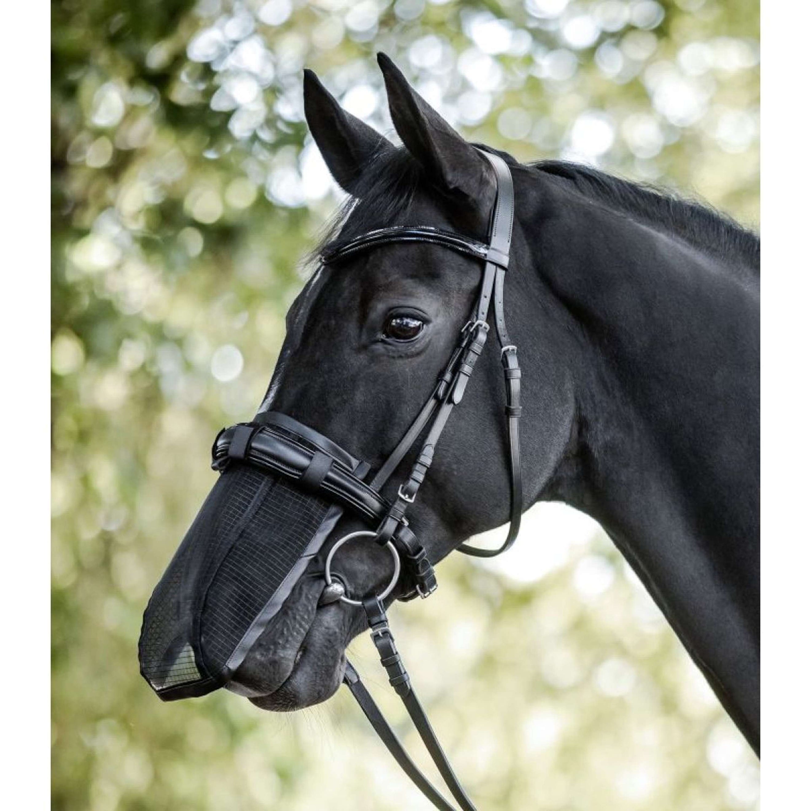 Waldhausen Filet pour Naseaux Noir Waldhausen Filet pour Naseaux Noir