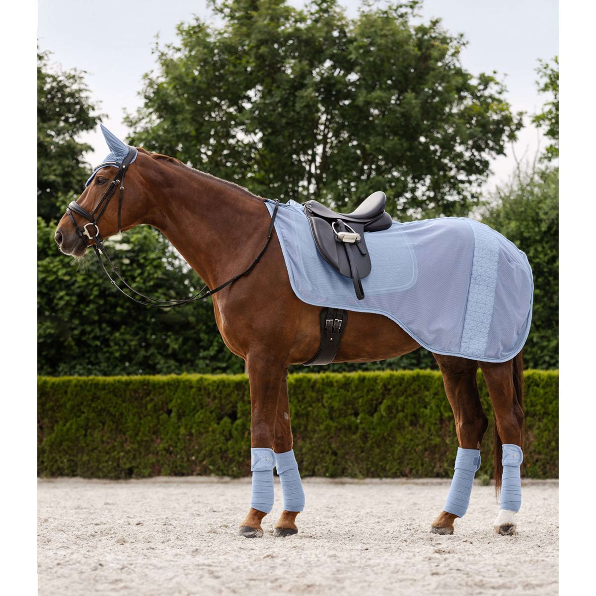 Waldhausen Couvre-reins Rom Pastel Blue