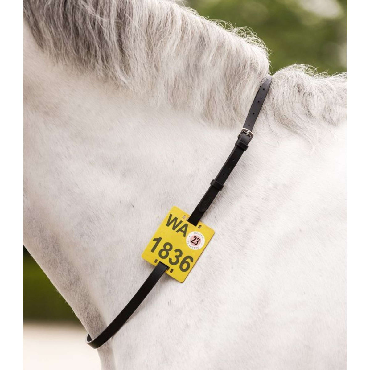 Waldhausen Riding Strap Sangle d'équitation Noir