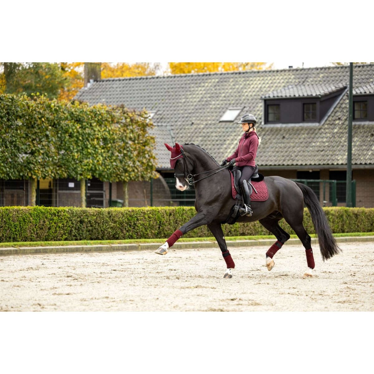 LeMieux Tapis de Selle Crystal Suede Dressage Bordeaux