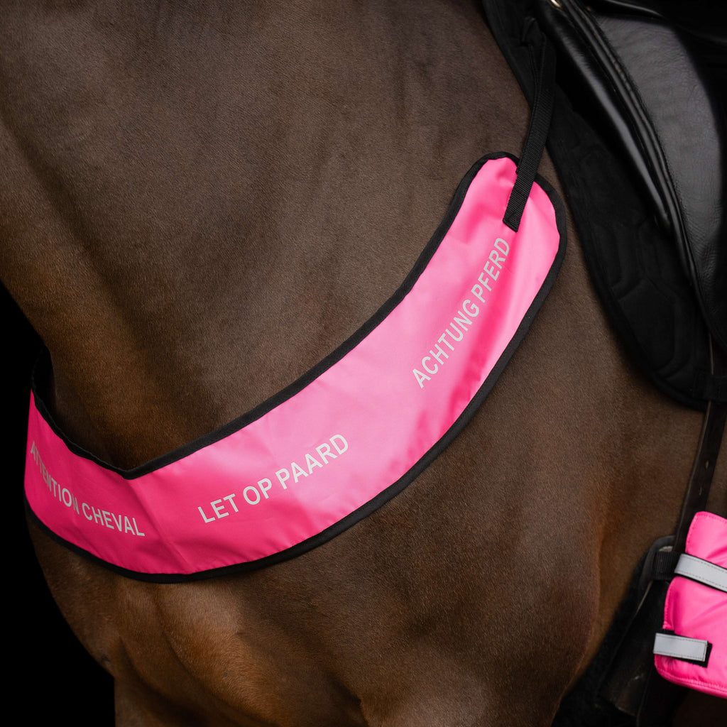 Imperial Riding Collier de Chasse IRHReflective Rose