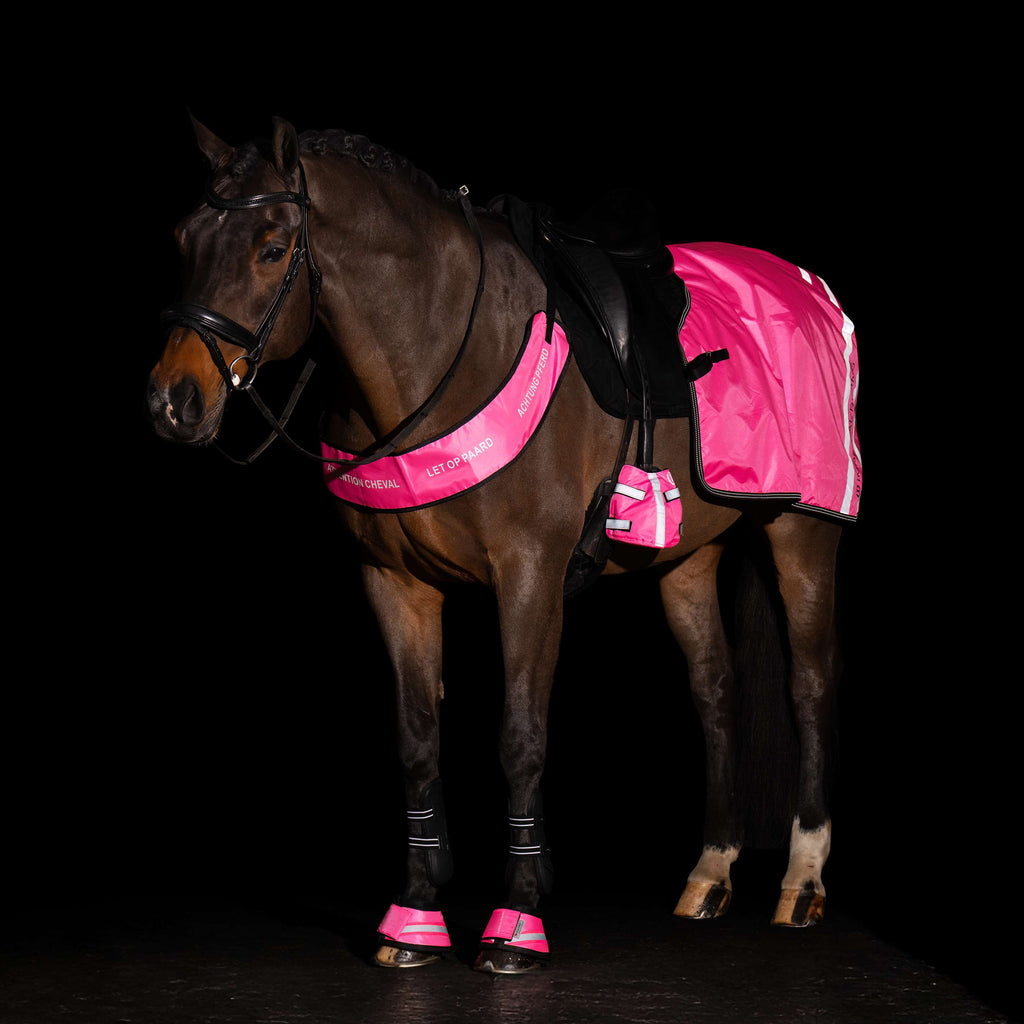Imperial Riding Collier de Chasse IRHReflective Rose