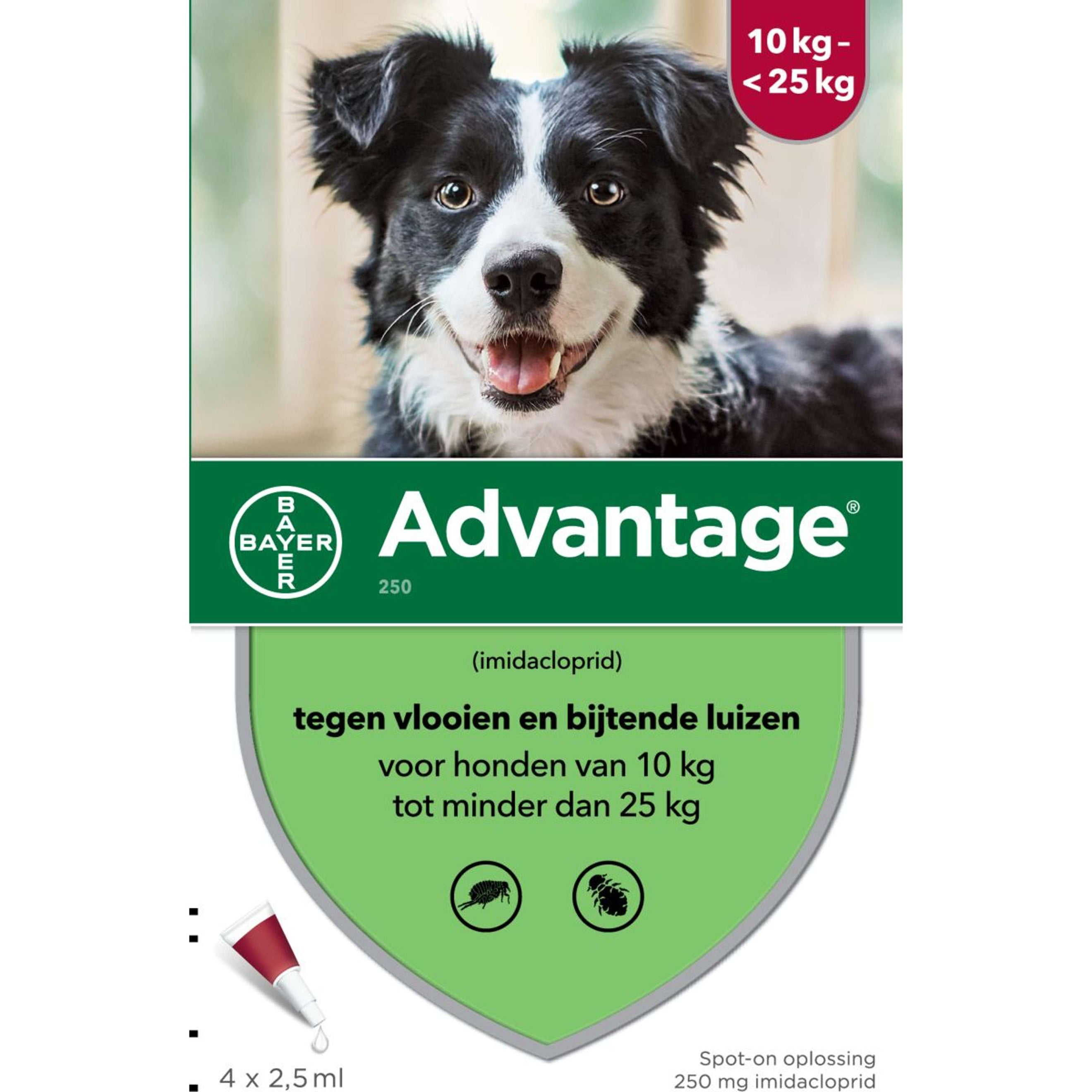 Advantage 250 Spot-On Chien 10-25 Kg