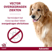 Advantix 400/2000 Spot-On Chien 25-40kg