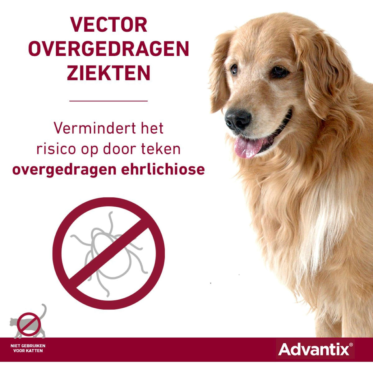 Advantix 100/500 Spot-On Chien 4-10kg