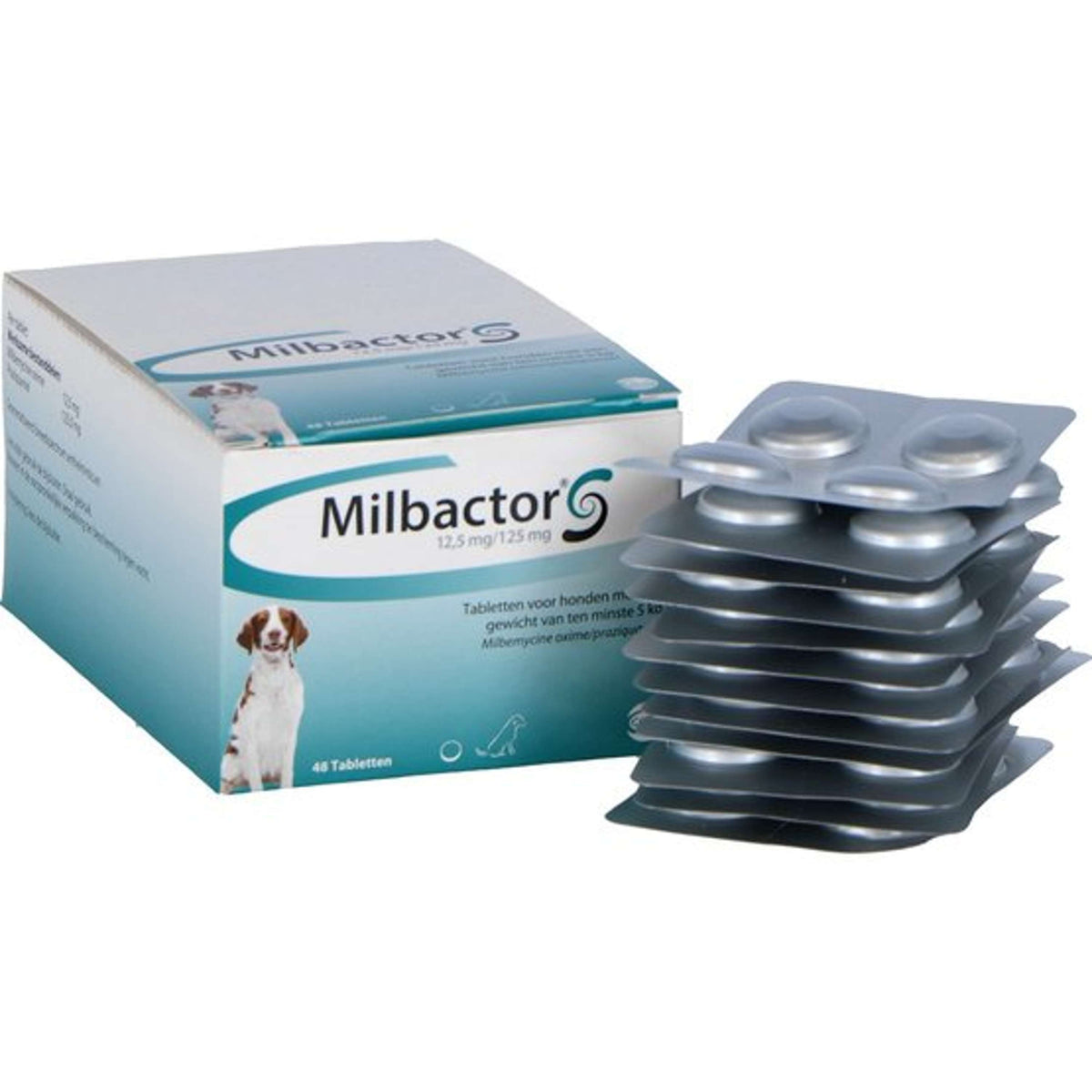 Milbactor Comprimé Vermifuge Chien