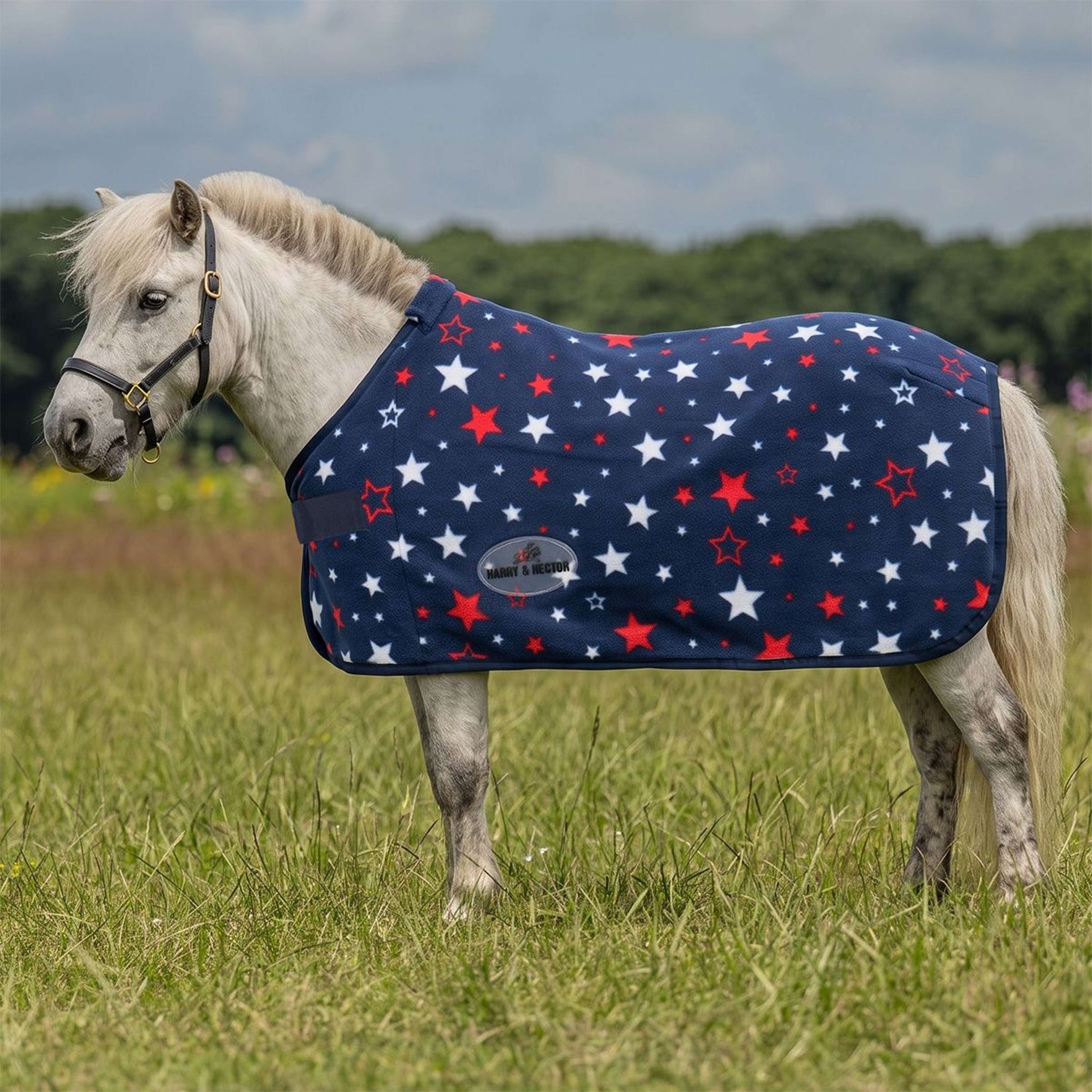 HB Couverture Polaire Star Bleu HB Couverture Polaire Star Bleu