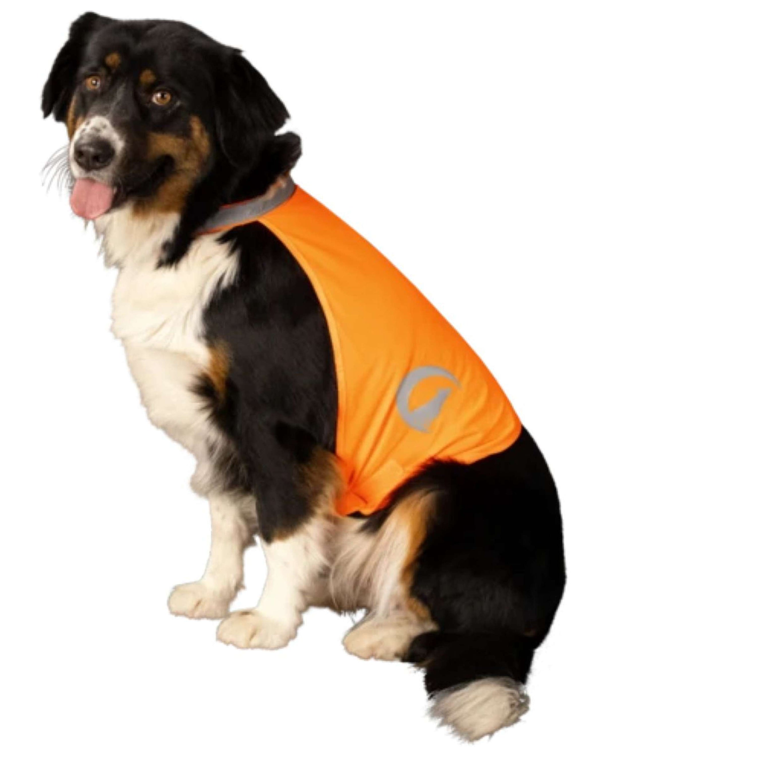 Excellent Dog Safety Veste Nightwalk Orange