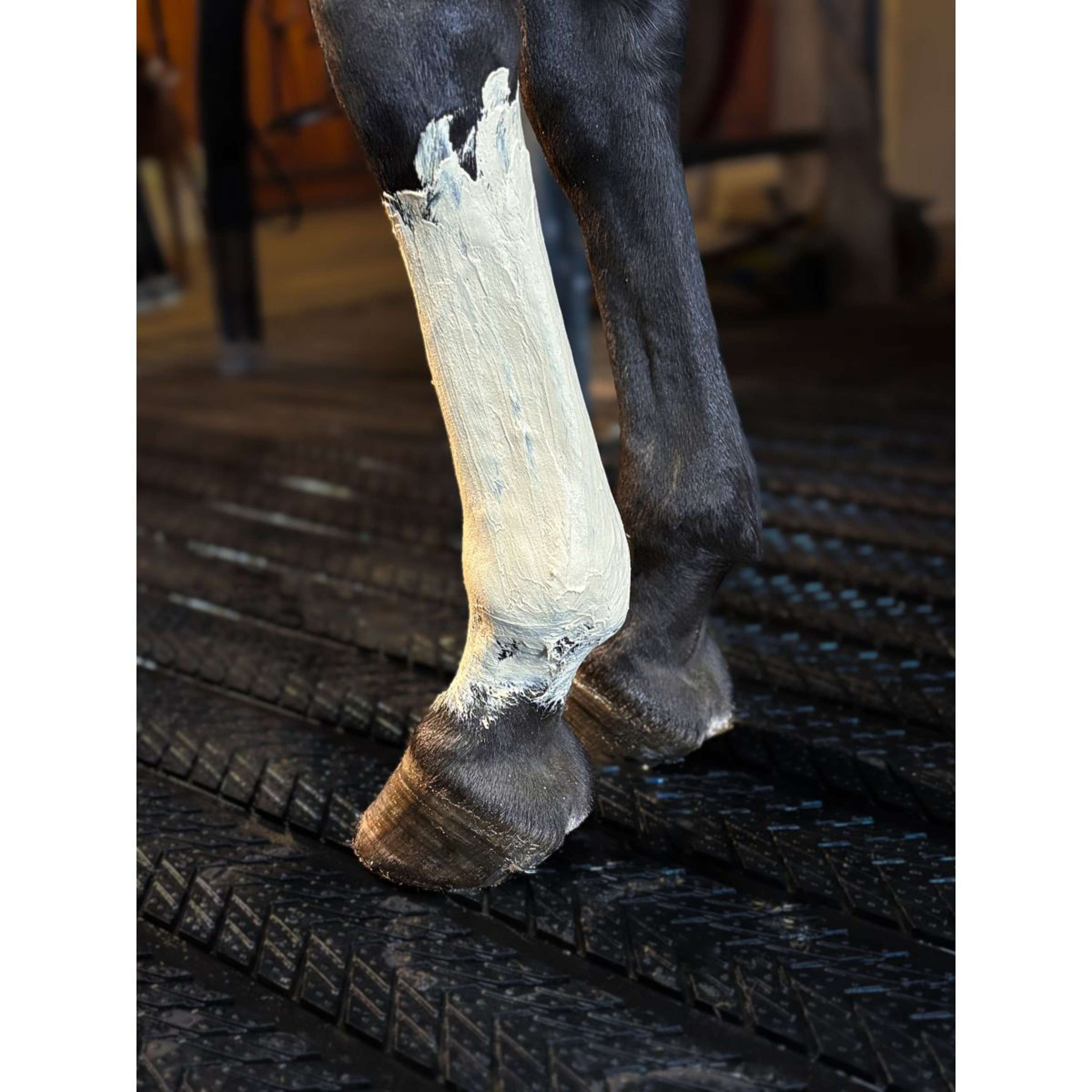 Kevin Bacon's Recup Clay