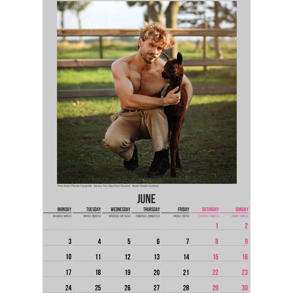 Alpaca and Hunk Calendrier