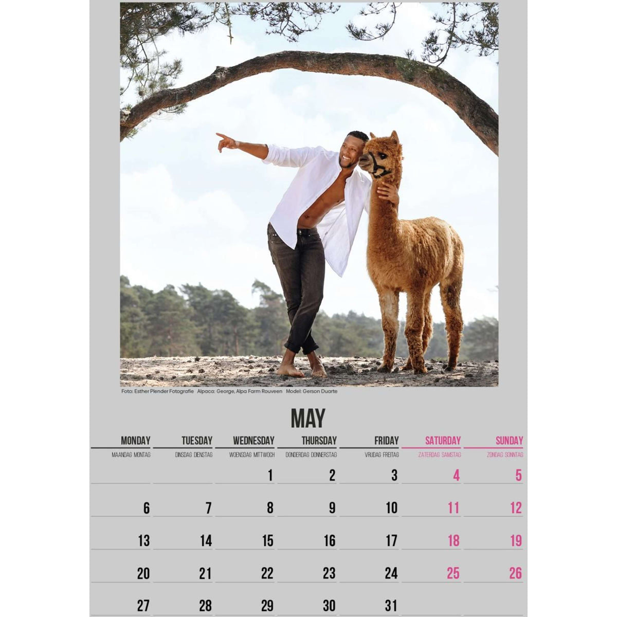 Alpaca and Hunk Calendrier