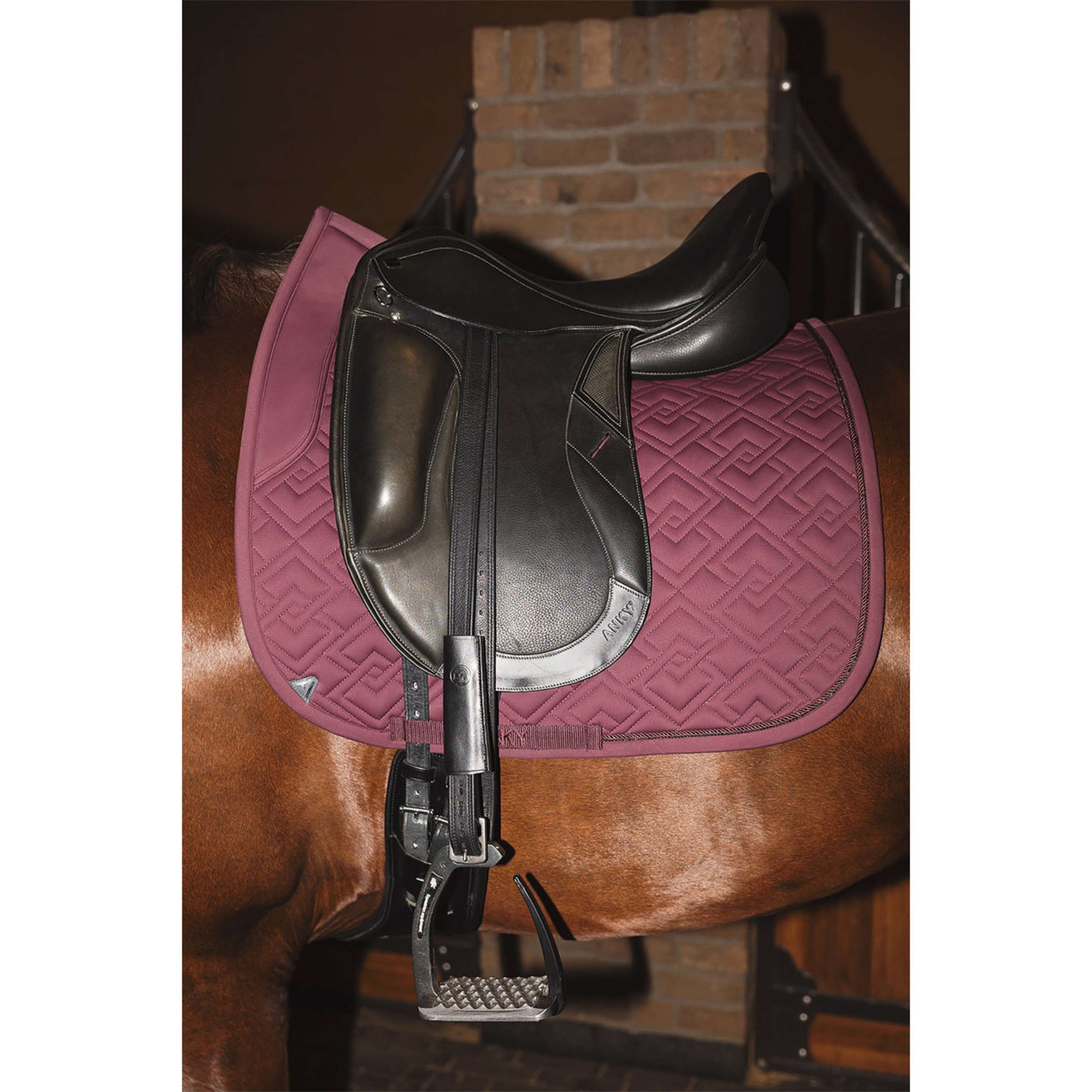 ANKY Tapis de Selle Professional XB25001 3C Dressage Sassafras ANKY Tapis de Selle Professional XB25001 3C Dressage Sassafras