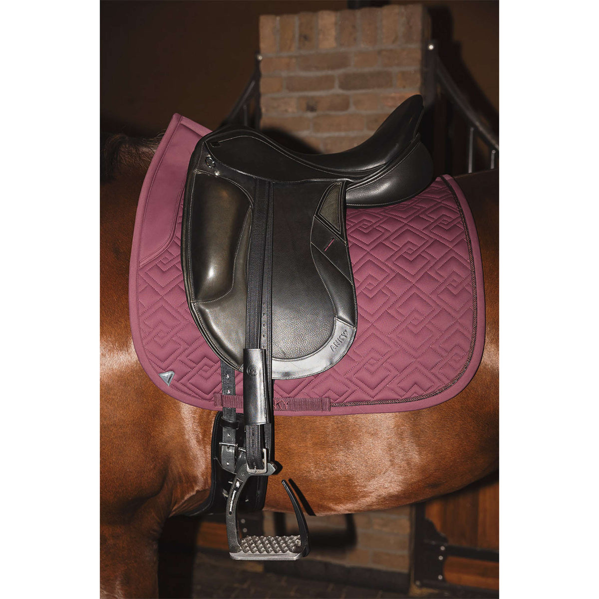 ANKY Tapis de Selle Professional XB25001 3C Dressage Sassafras