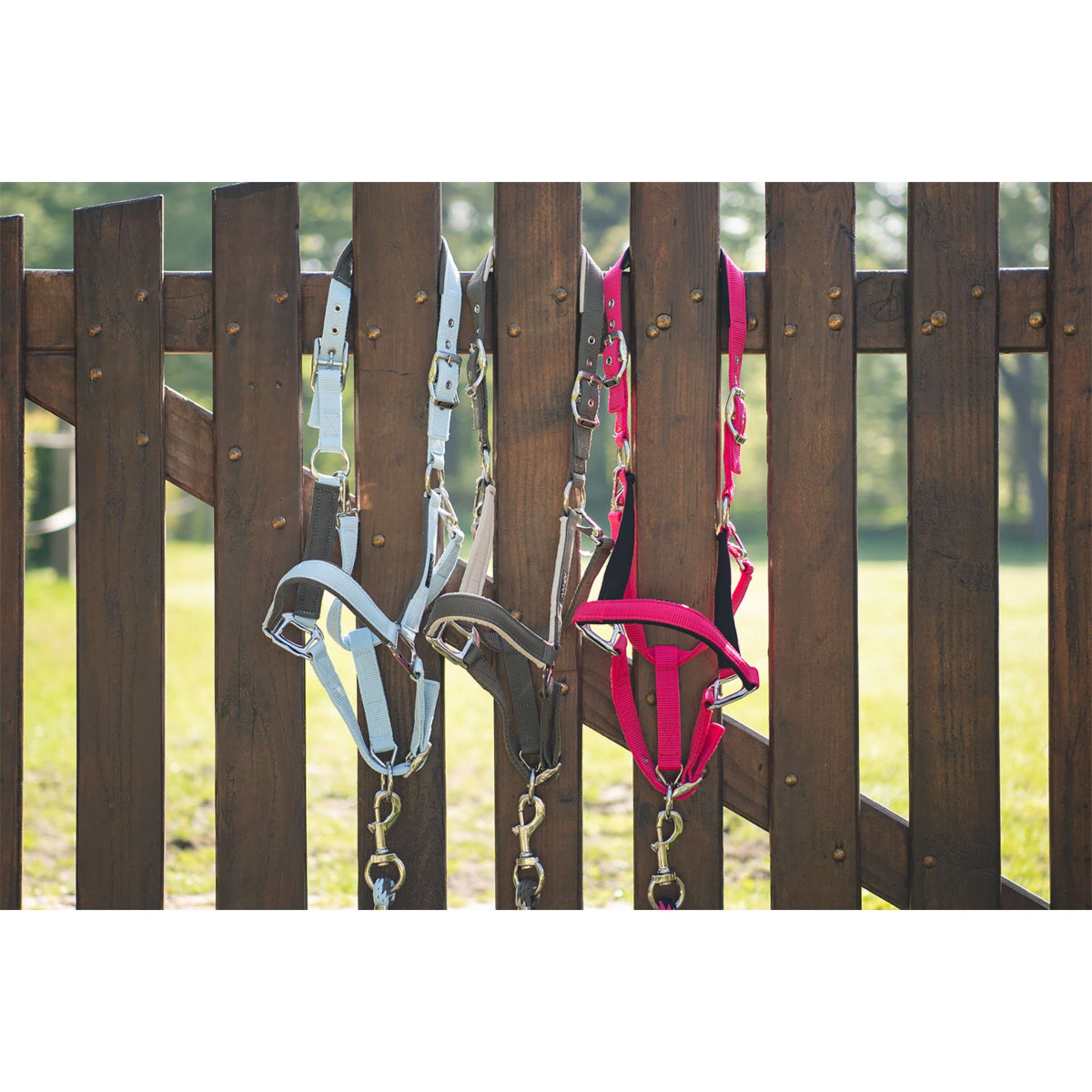 ANKY Ensemble Licol ATH261001 Innuendo