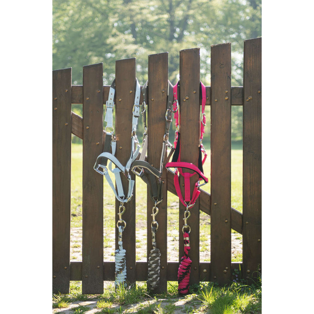 ANKY Ensemble Licol ATH261001 Bungee Cord