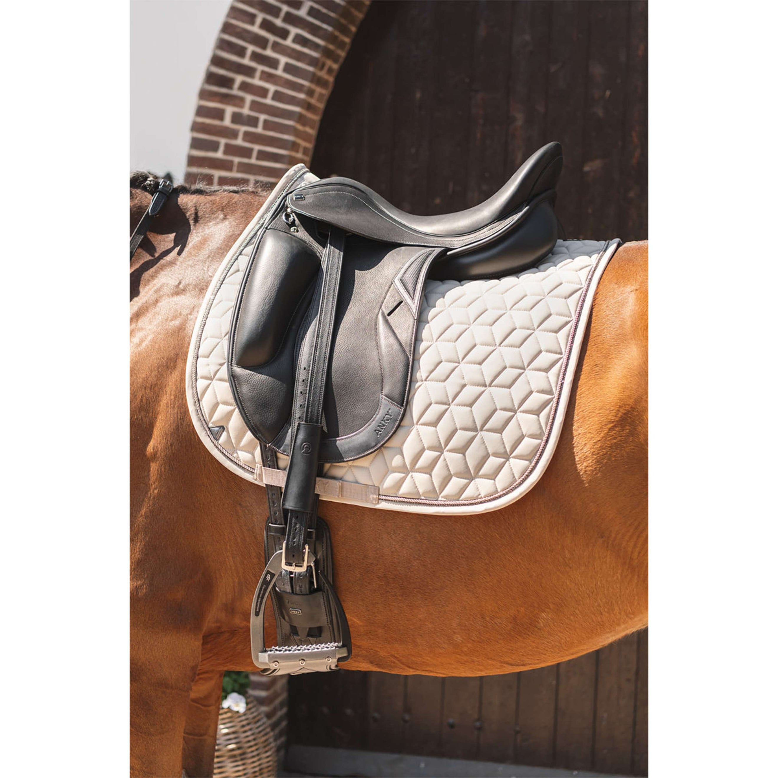 ANKY Tapis de Selle Vivacity XB261111 Dressage Island Fossil ANKY Tapis de Selle Vivacity XB261111 Dressage Island Fossil