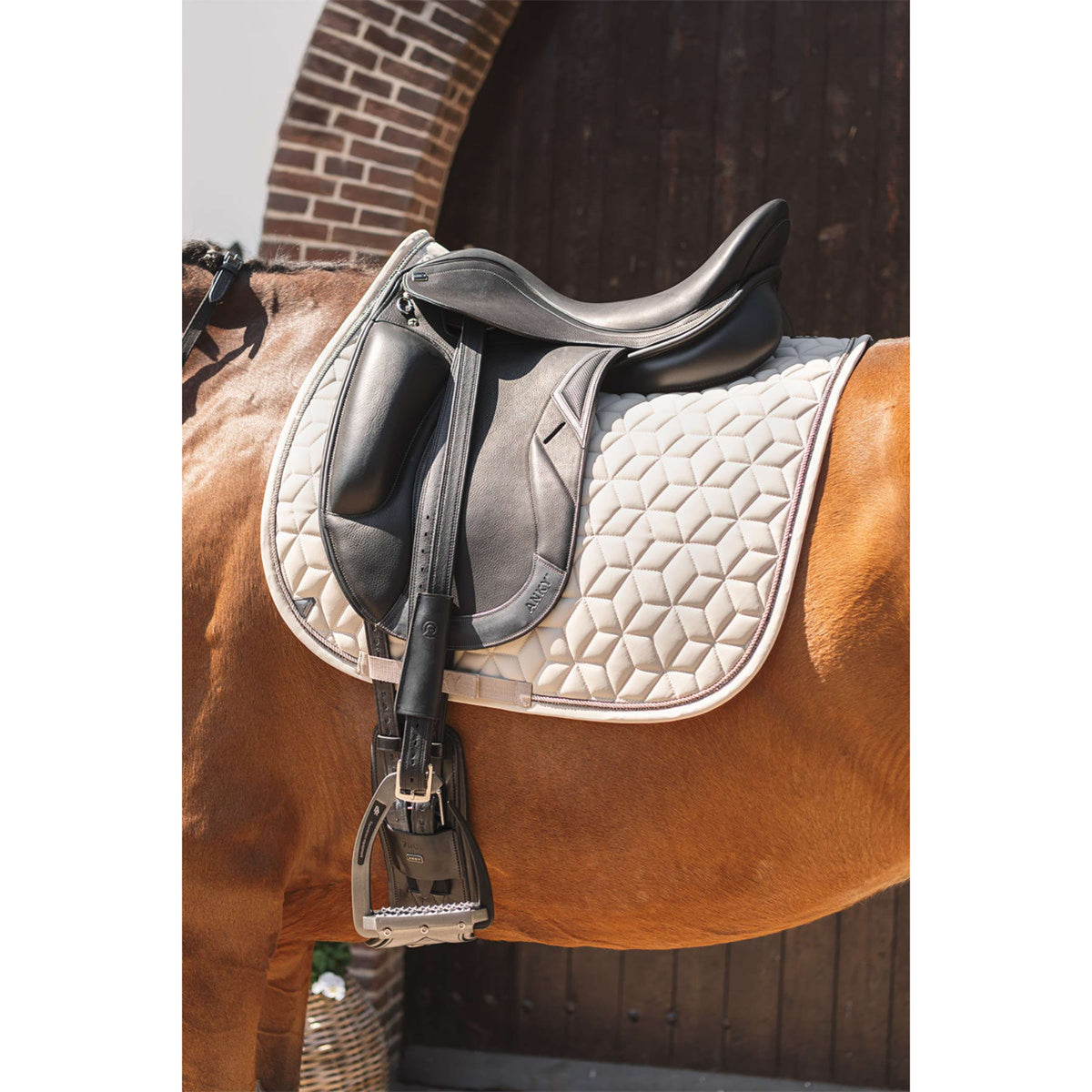 ANKY Tapis de Selle Vivacity XB261111 Dressage Island Fossil