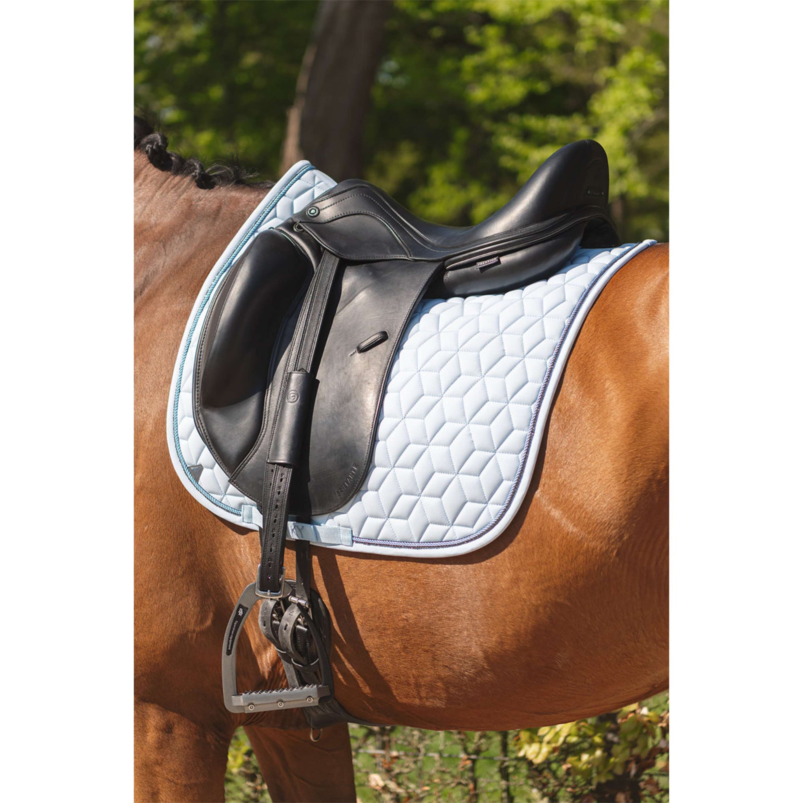 ANKY Tapis de Selle Vivacity XB261111 Dressage Nantucket Breeze