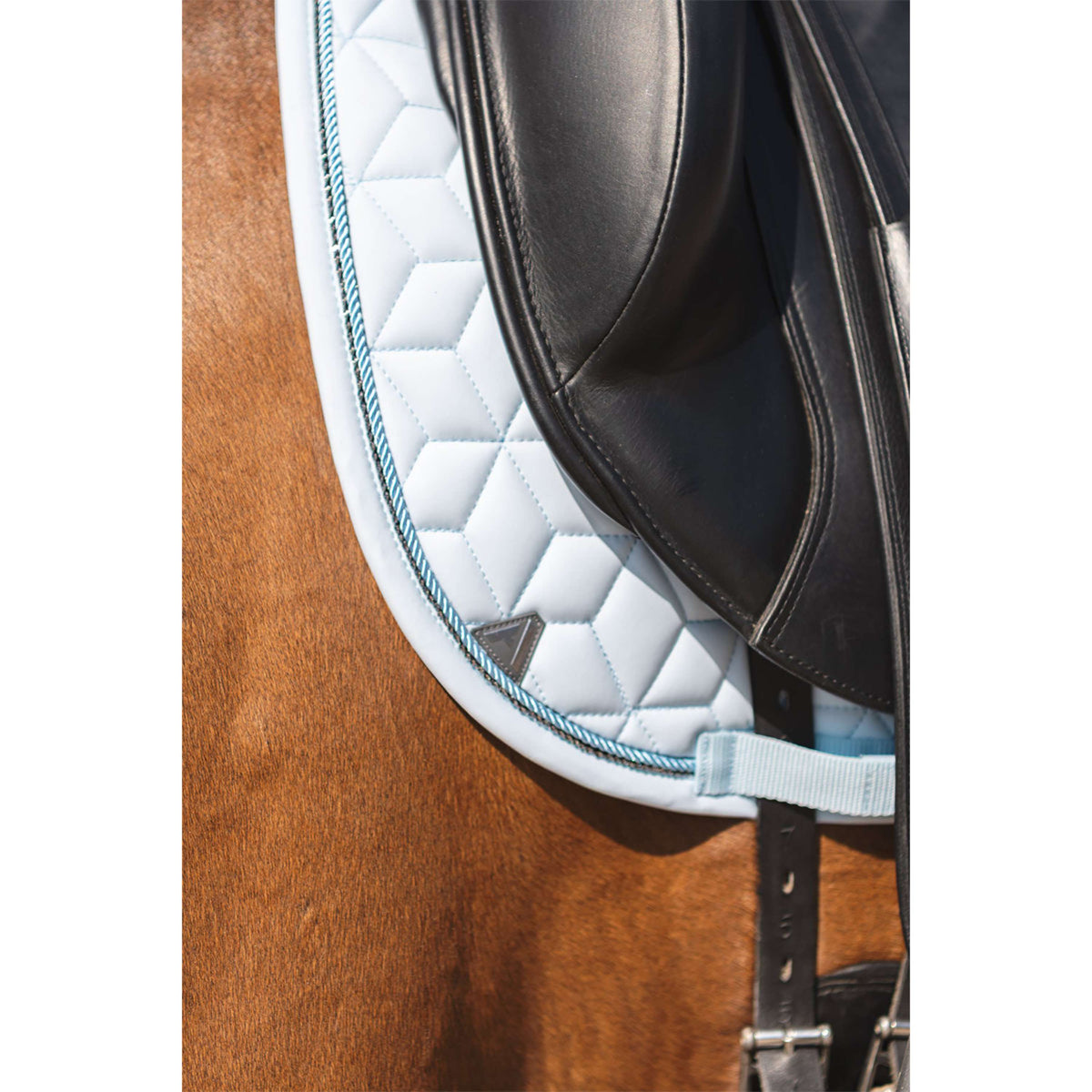 ANKY Tapis de Selle Vivacity XB261111 Dressage Nantucket Breeze