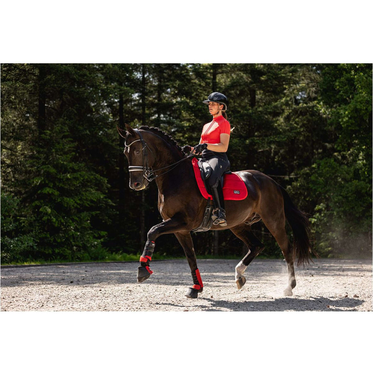 ANKY Tapis de Selle Velvet Wave Dressage CoralParadise