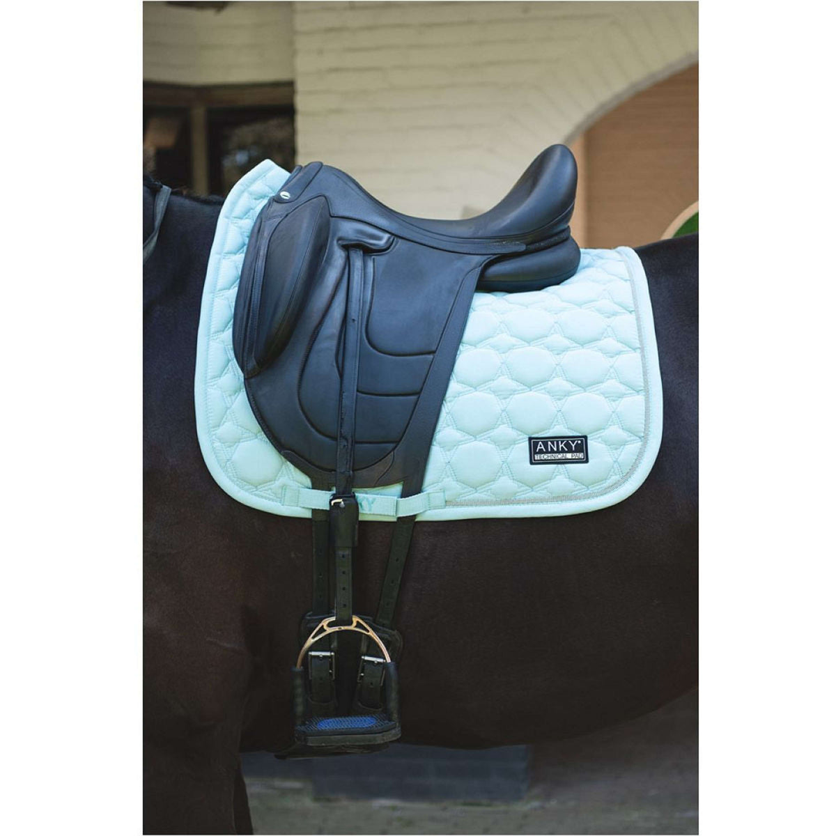 ANKY Tapis de Selle Suede Dressage CanalBlue