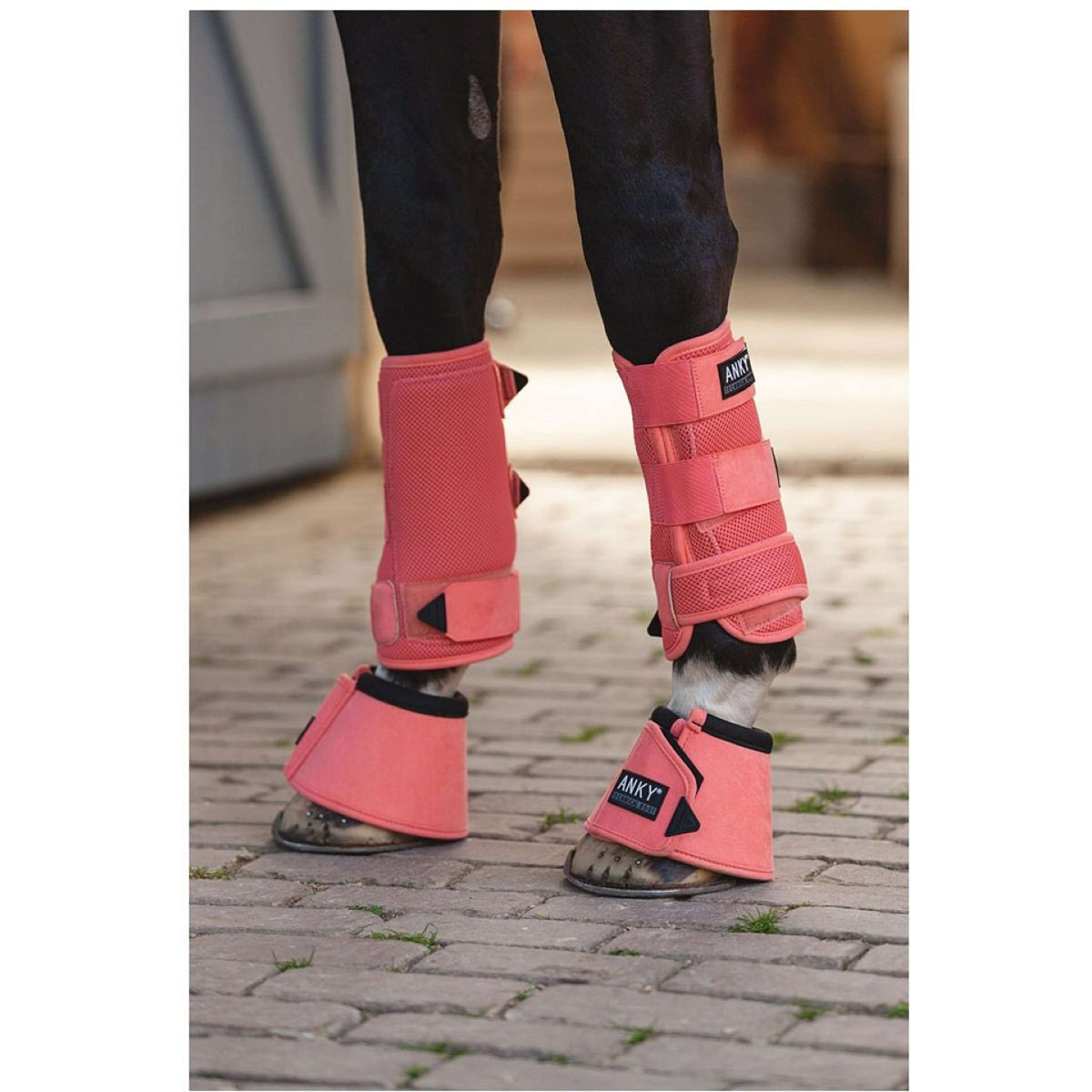 ANKY Dressage Boots ATB241007 3D Mesh Sugar Coral