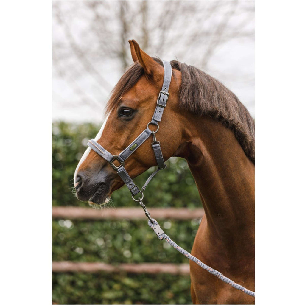LeMieux Hobby Horse Vogue Ensemble Licol Steel Grey