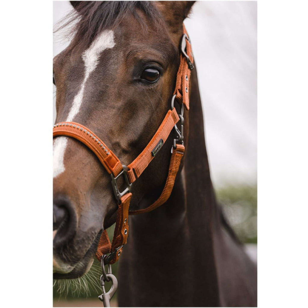 LeMieux Hobby Horse Vogue Ensemble Licol Rouille
