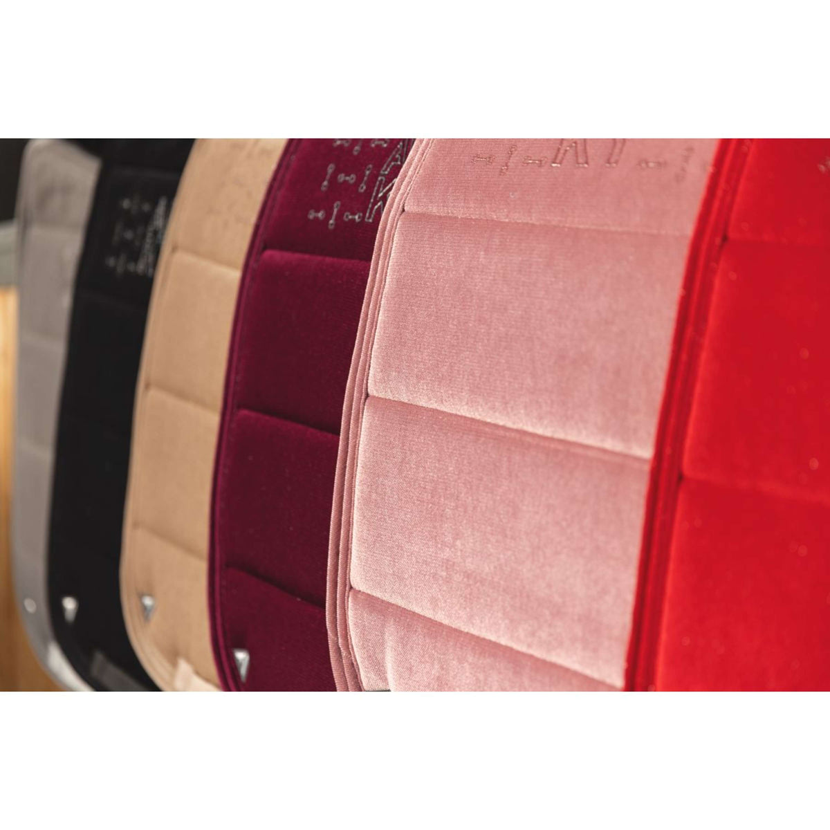 ANKY Tapis de Selle AW25 Velvet Dressage Equestrian Red