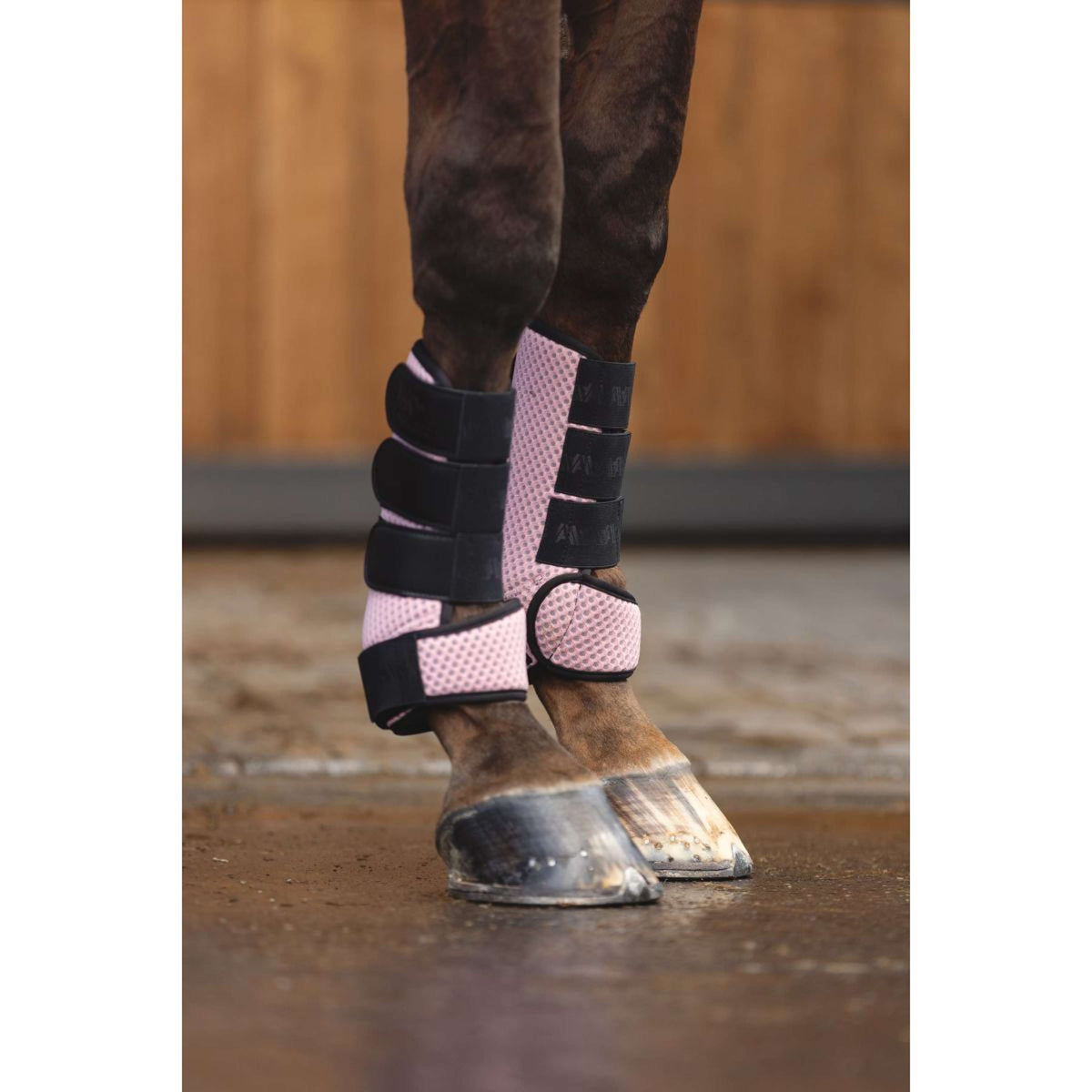 ANKY Guêtres AW25 3D Mesh Bridal Rose