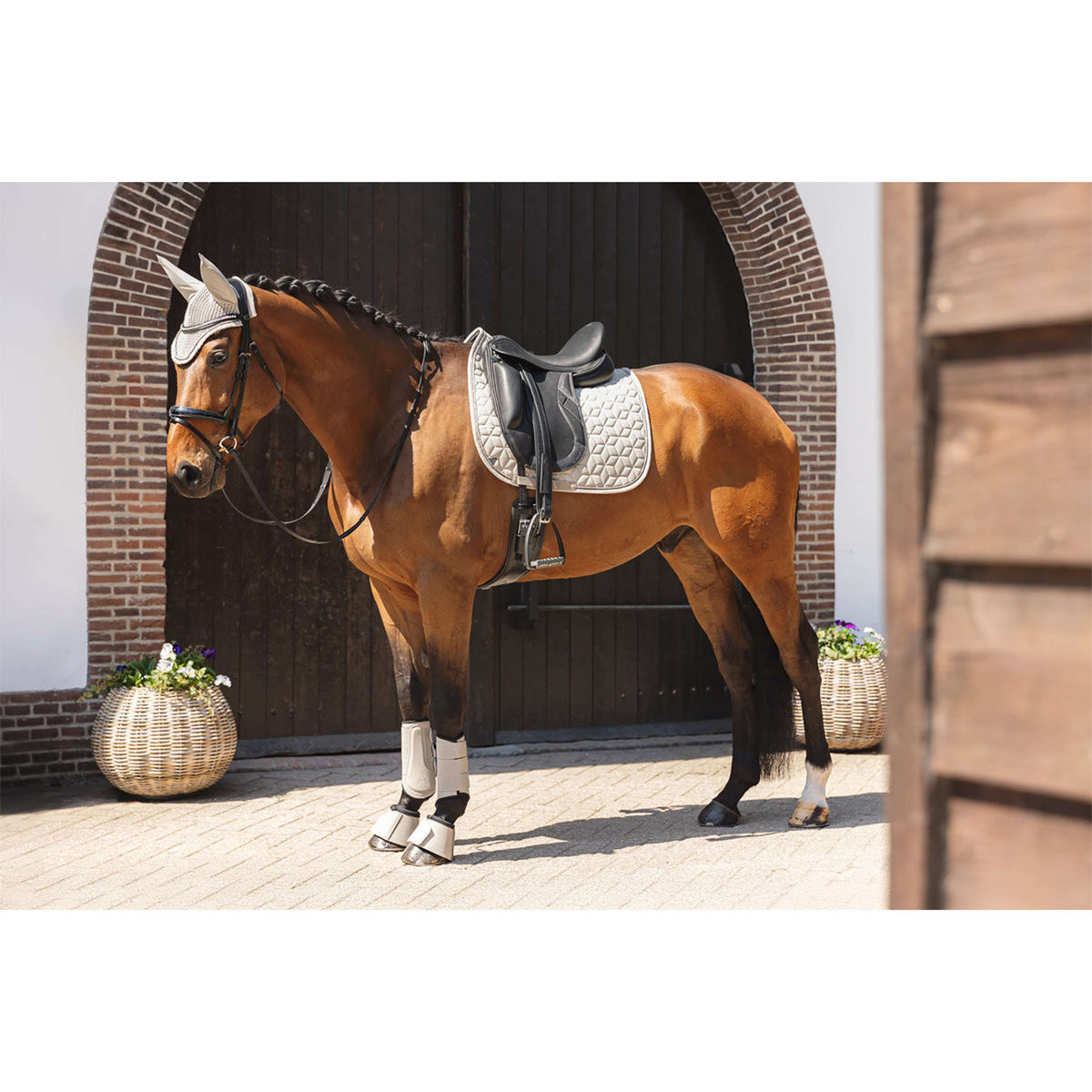 ANKY Tapis de Selle Vivacity XB261111 Dressage Island Fossil