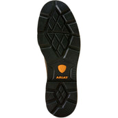 Ariat Jodhpurs Groundbreaker Chelsea H20 Hommes Marron foncé