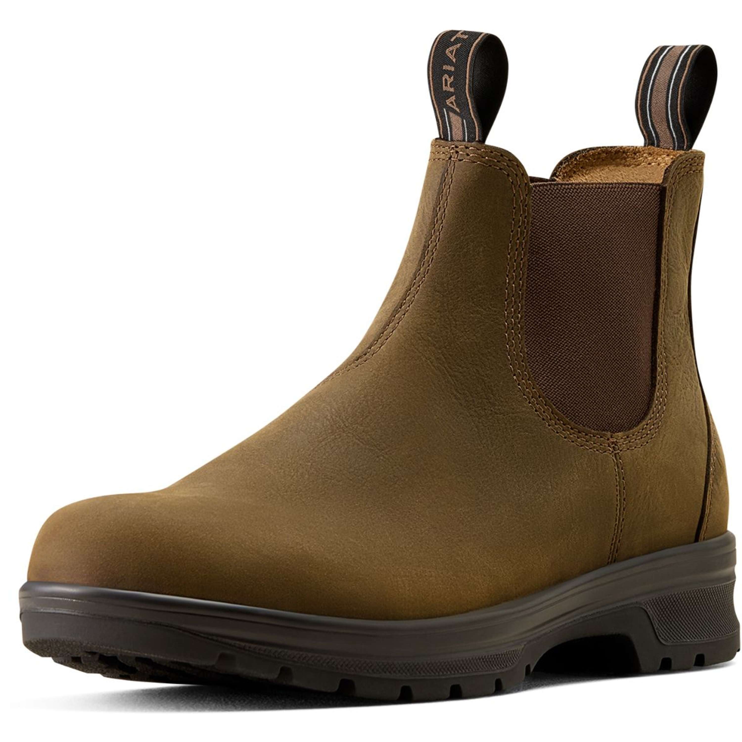 Ariat Jodhpurs Cooper Hommes Distressed Tan