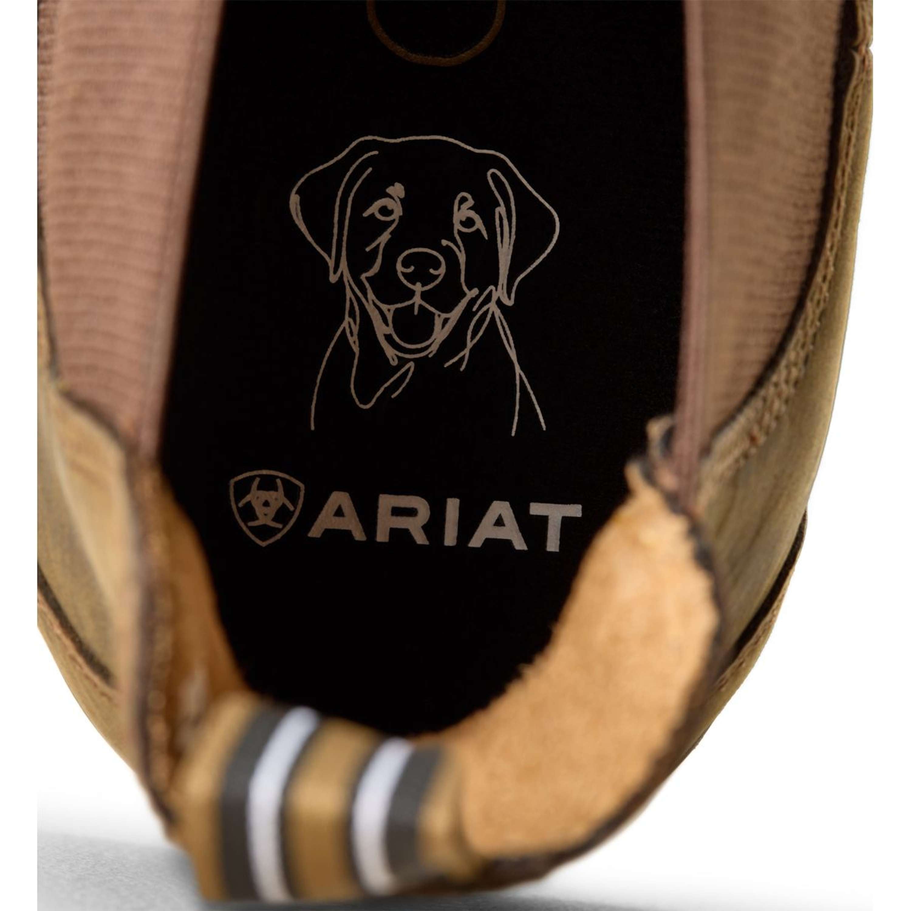 Ariat Jodhpurs Cooper Hommes Distressed Tan