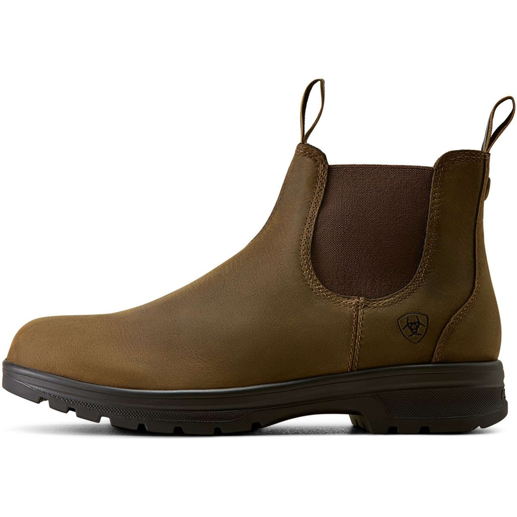 Ariat Jodhpurs Cooper Hommes Distressed Tan