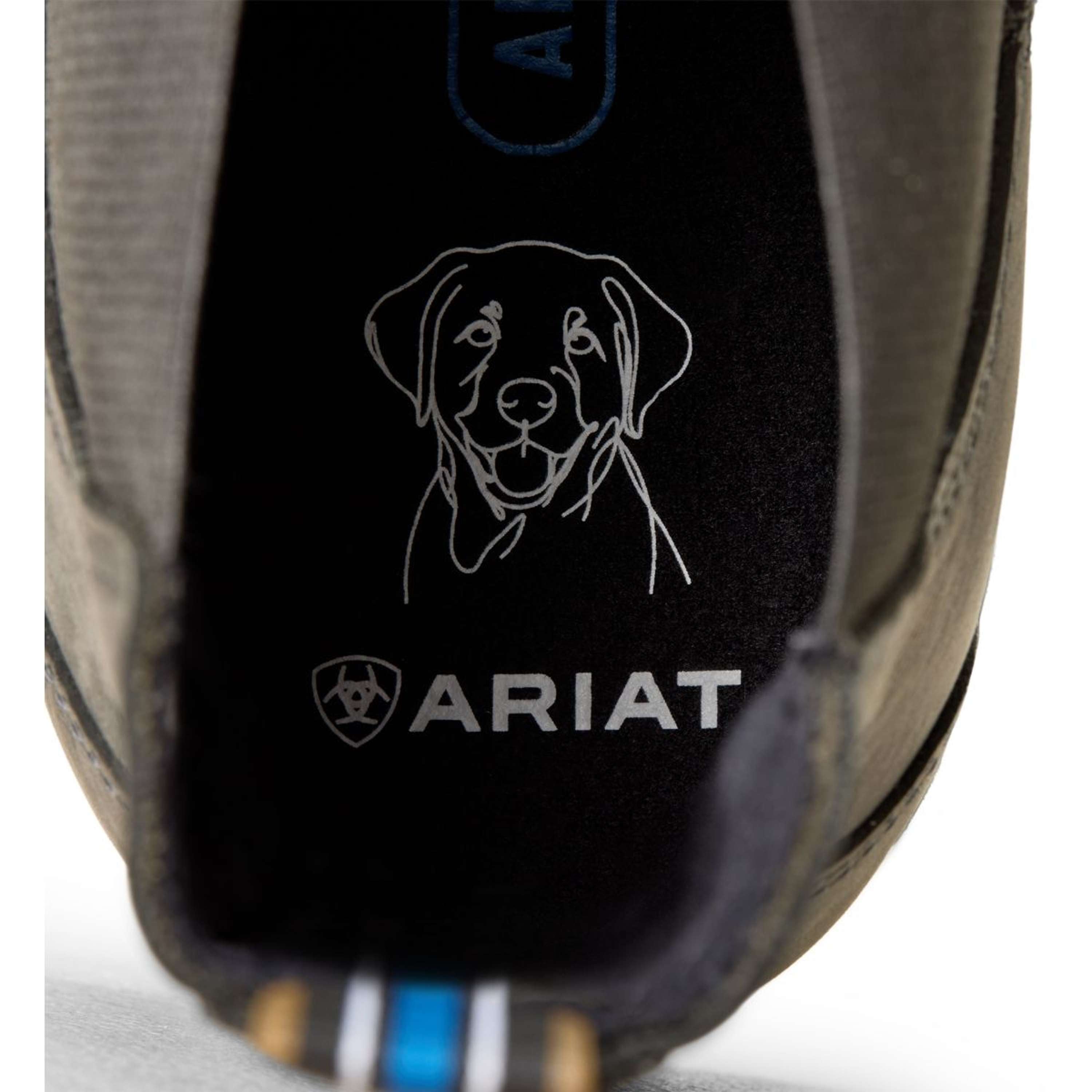 Ariat Jodhpurs Cooper Hommes Castlerock