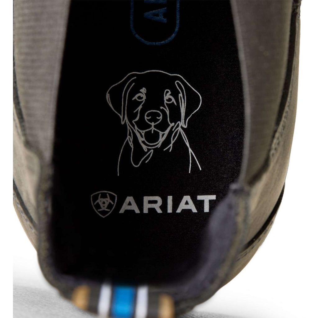 Ariat Jodhpurs Cooper Hommes Castlerock