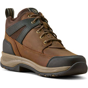 Ariat Chaussures d'Écurie Terrain Trek H2O Hommes Chocolat foncé