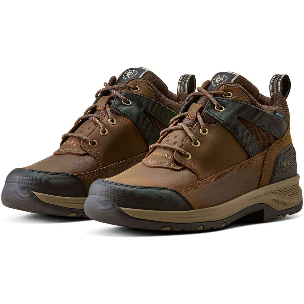 Ariat Chaussures d'Écurie Terrain Trek H2O Hommes Chocolat foncé