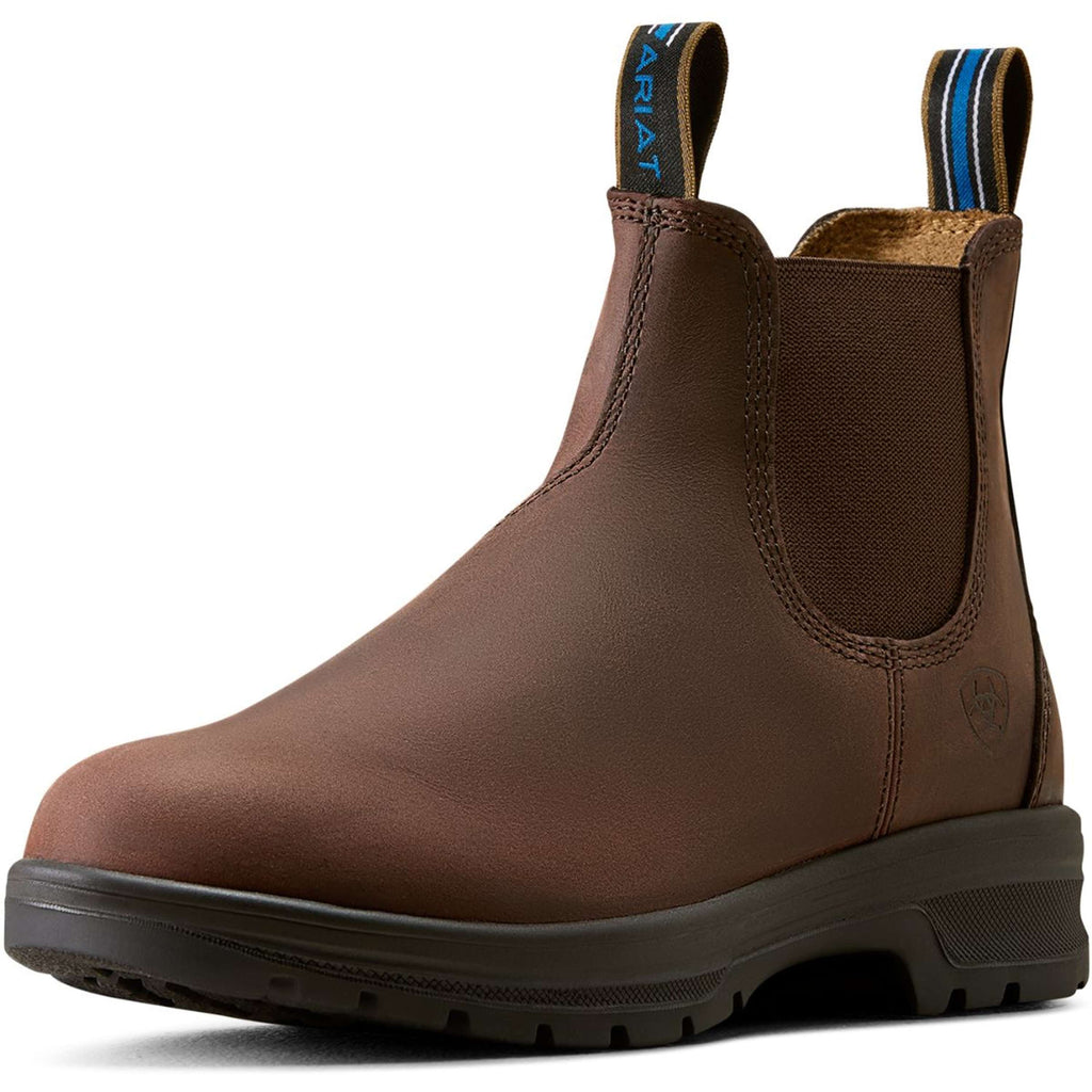 Ariat Jodhpurs Cooper Femme Brunette