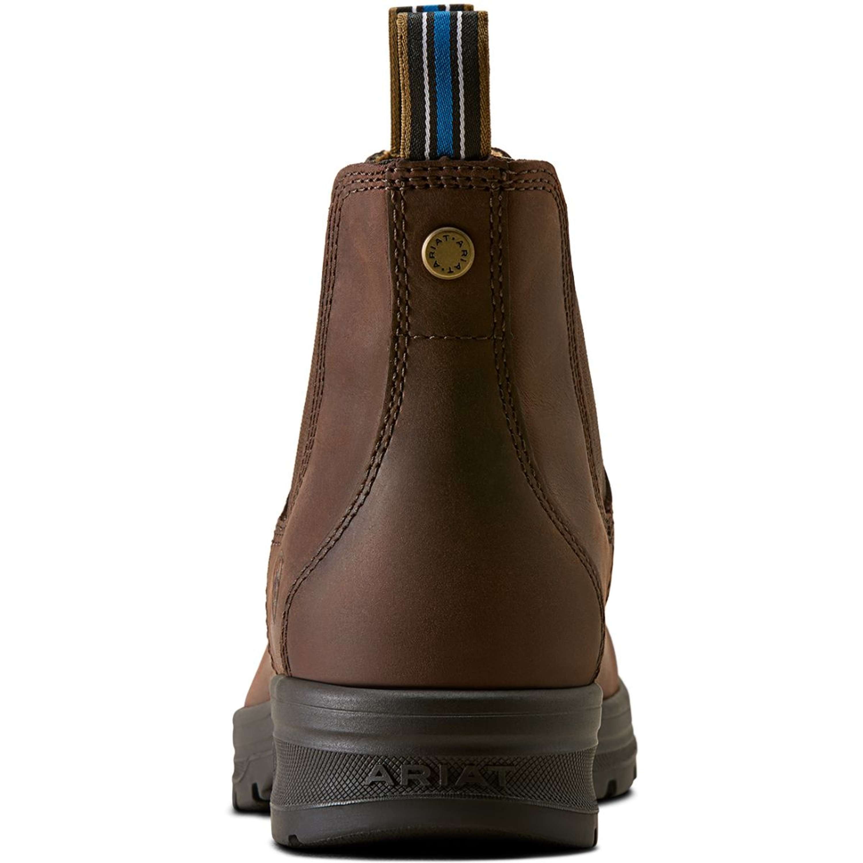 Ariat Jodhpurs Cooper Femme Brunette
