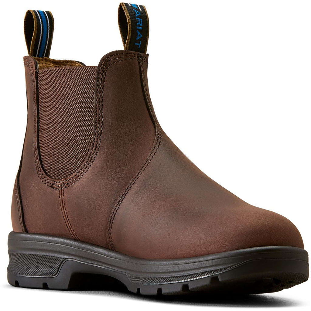 Ariat Jodhpurs Cooper Femme Brunette