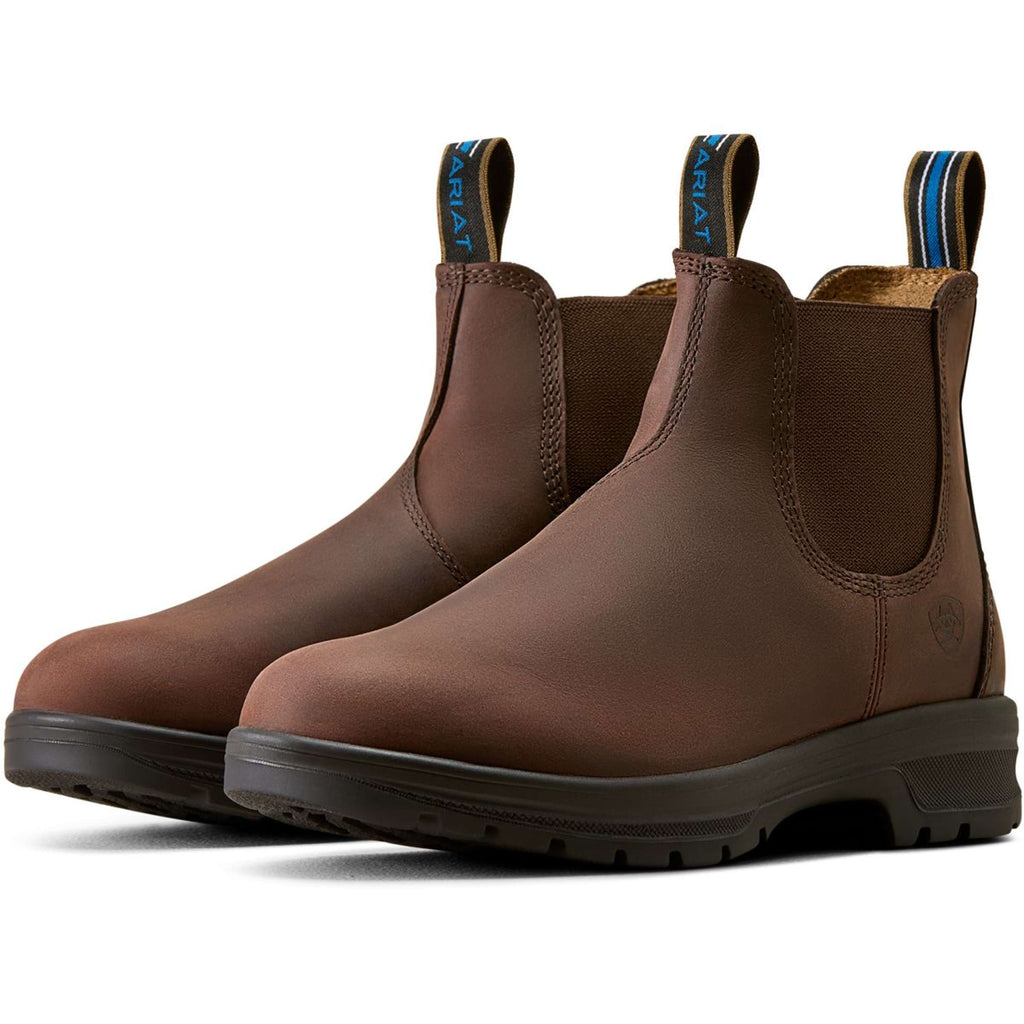 Ariat Jodhpurs Cooper Femme Brunette